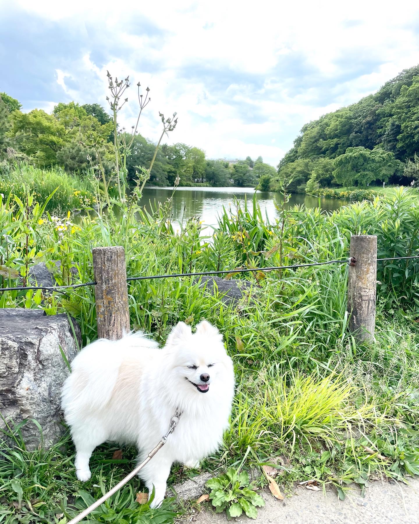 じゅん菜池公園をお散歩したよ